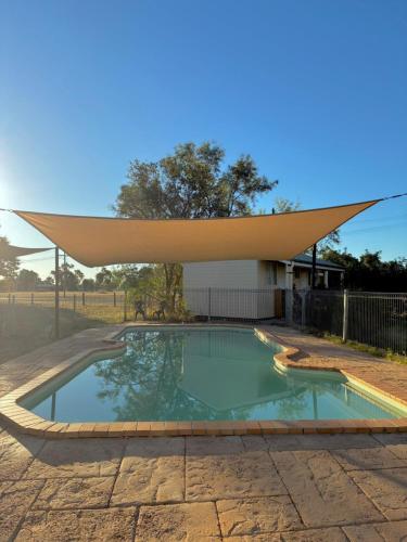 Zwembad, Ironbark Inn in Barcaldine