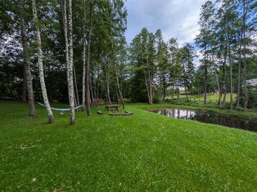 Brzozowy Chillout in Czarne