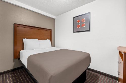 Rodeway Inn Rapid City North - image 14