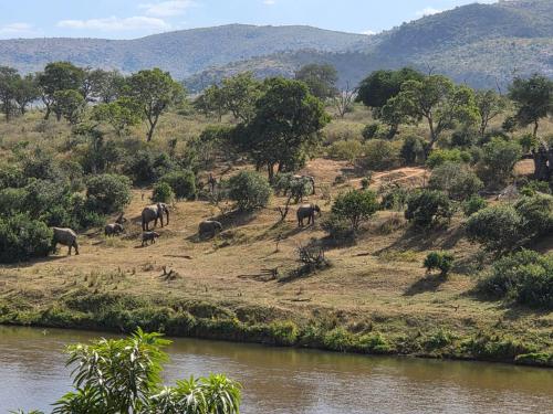 River Retreat in Matsulu