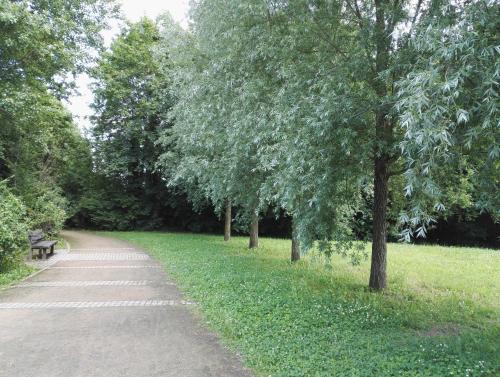 Amsterdam-Einraumwohnung, Leipzig (photo 10)