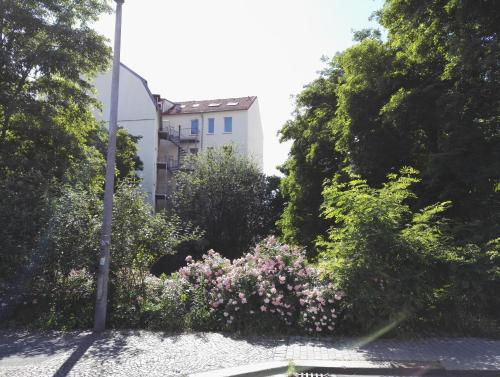 Amsterdam-Einraumwohnung, Leipzig (photo 7)