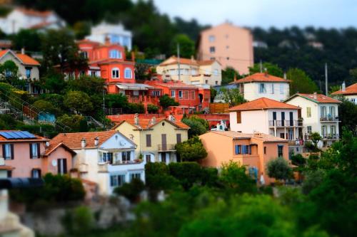 Skylark Bed & Breakfast - image 2