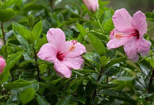 Kirpal Meditation and Ecological Center Kirpal Meditation and Ecological Center