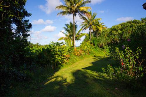 Kirpal Meditation and Ecological Center Kirpal Meditation and Ecological Center
