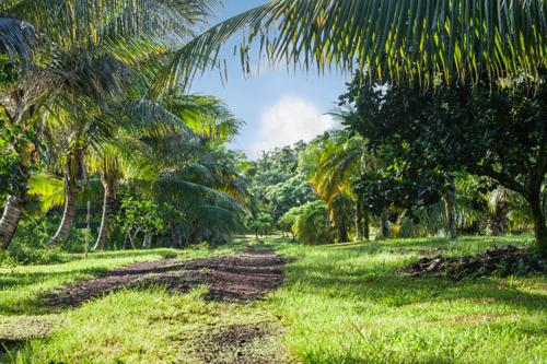 Kirpal Meditation and Ecological Center Kirpal Meditation and Ecological Center