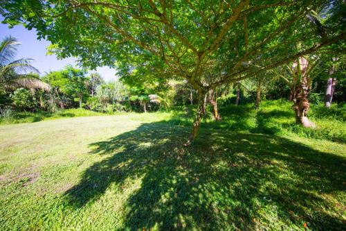 Kirpal Meditation and Ecological Center Kirpal Meditation and Ecological Center