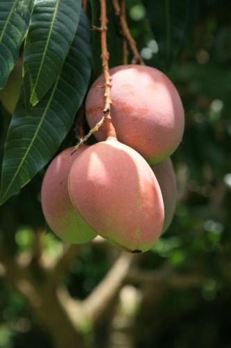 Kirpal Meditation and Ecological Center Kirpal Meditation and Ecological Center