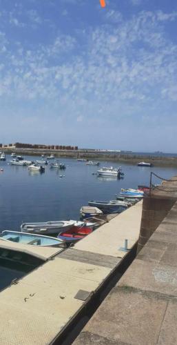 Méditerranée (Mediterranee) in 瑟堡奧克特維爾市中心