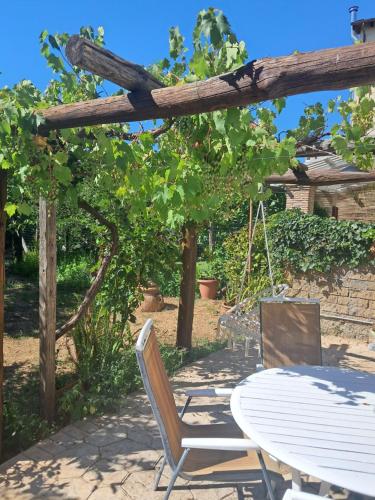 Aed, JasmimdoBrasil in Manziana