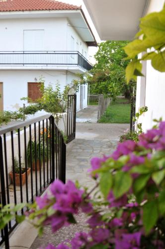 ทางเข้า, Mellia in อาร์เคีย โอลิมเปีย