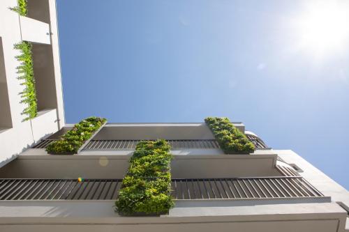 Ammos Suites - image 4