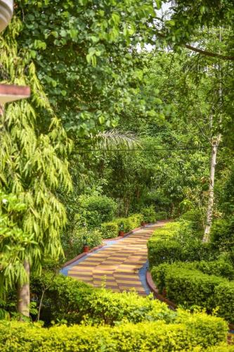 Backpackers Jungle Resort - image 5
