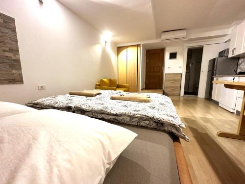 Tiny Tides Studio Piran