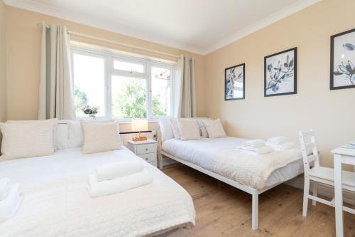 Open Mind Property - Studio for FOUR in Talbot and Branksome Woods