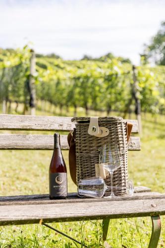 Monschein Weingut Straden - Accommodation