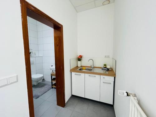 Sonnenblume Residenz in Schwetzingen