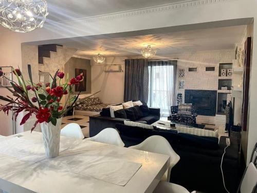 Greek hospitality with Free Double Parking and 1000mbps WiFi, Atény