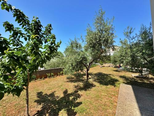 Apartment with Garden View image 9