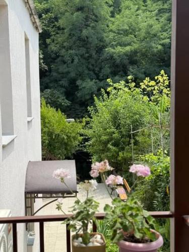 Guest House at the park