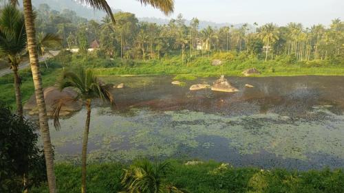 Uitzicht, SOUPARNIKA LAKEVIEW HOMESTAY in Muttil