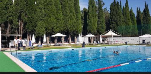 Aurelia Green Suite 5