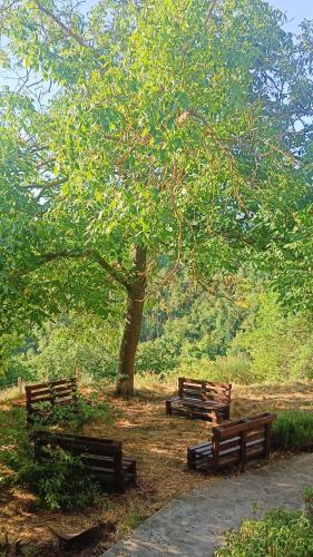 Casetta nella Città Invisibile (Casetta nella Citta Invisibile) in Piana Crixia