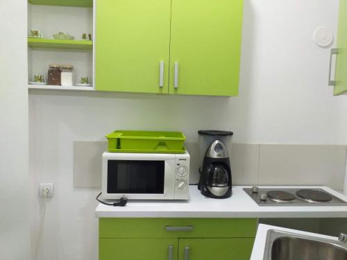 One-Bedroom Apartment image 9