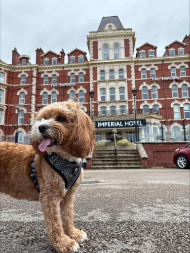 Imperial Hotel Blackpool - image 4