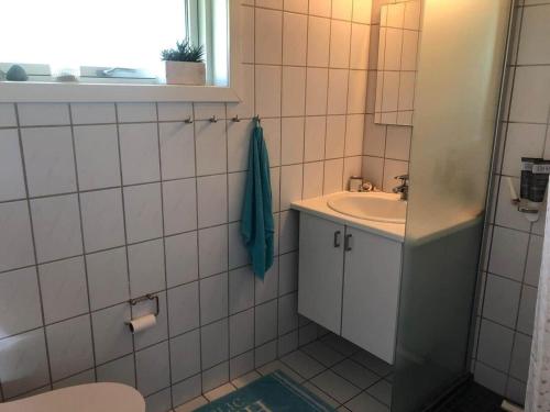 1324-Stege-Faellesskov-Strandvej-8 in Hegningen