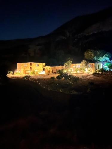 Dana horizon hotel in Dana