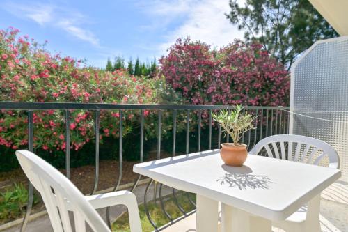 MOTEL ASCOT - Hotel & Appartements - image 3