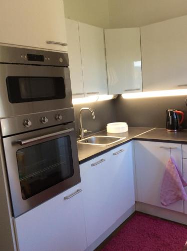 厨房, Kirkkokatu in 萨翁林纳