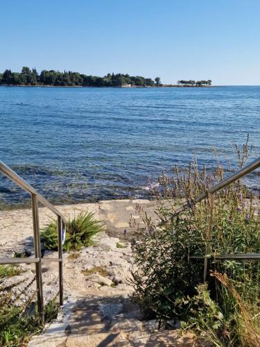 Hiša Stella Istra (Hisa Stella Istra) in Lovrecica