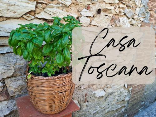 Casa Toscana, Sassetta