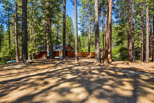 Incline Bliss Dreamy Pet Friendly Escape in Incline Village (NV)