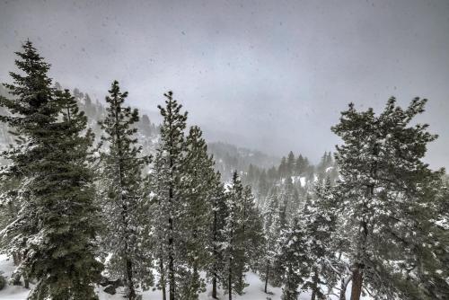 Valley View - Carson Valley Views, Stateline (fotografie 5)