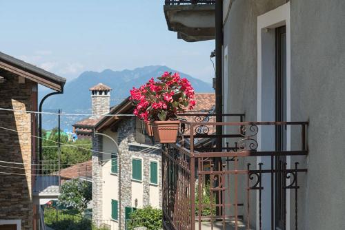 LevOasi 4 in สเตรซา