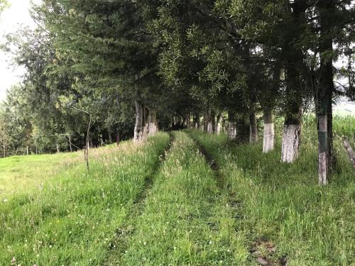 Casa tipo Chalet en el pasochoa in Sangolqui