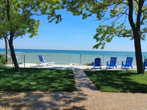 5 o clock somewhere, Hamilton (foto 4)