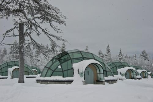 Large Glass Igloo (4 Adults)