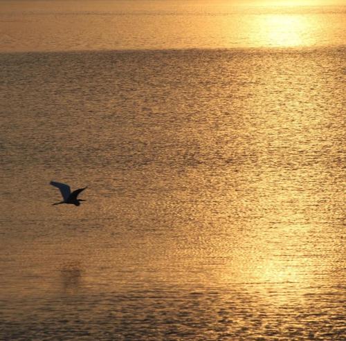 COBERTURA, apto com vista para o mar