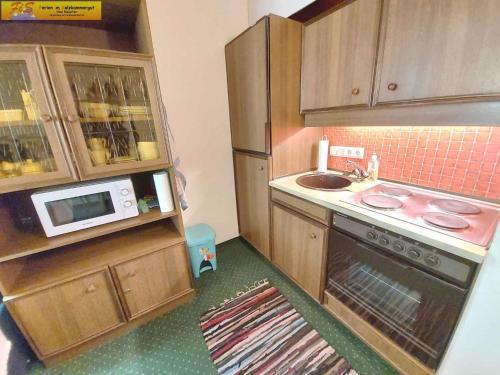  Studio in Bad Mitterndorf - Steiermark 37017 in Bad Mitterndorf