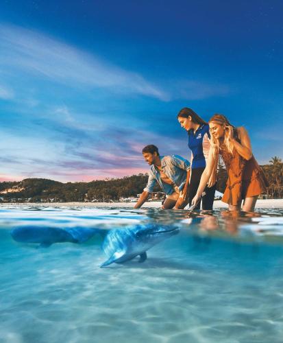 Tangalooma Island Resort in Tangalooma