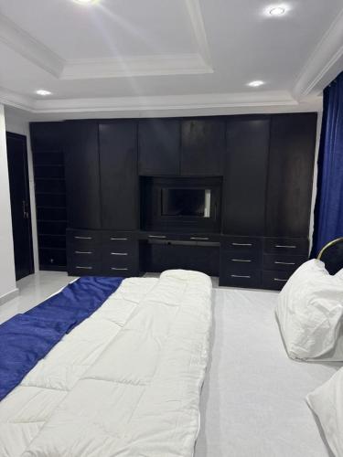 newtown apartment olaleye iporin surulere nigeria in Tejuosho