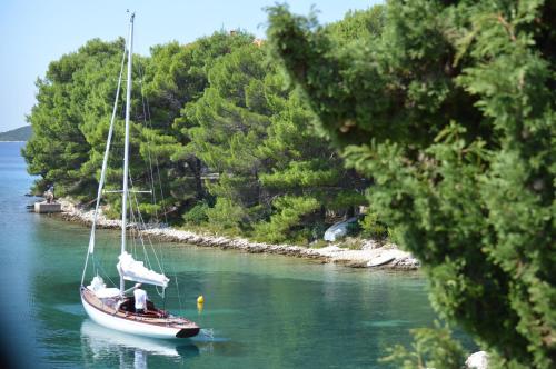  Apartments Mediteraneo in Molat
