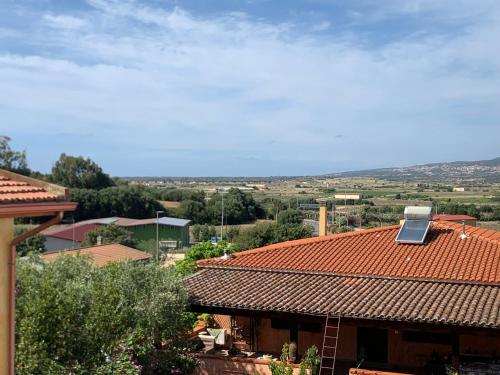 Little sparrow in Santa Maria Coghinas