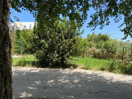Old cowshed from the '30 in Santa Maria Coghinas