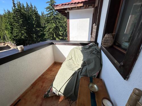 Bambi, Pamporovo (foto 3)