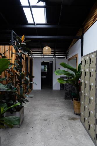 Songkler